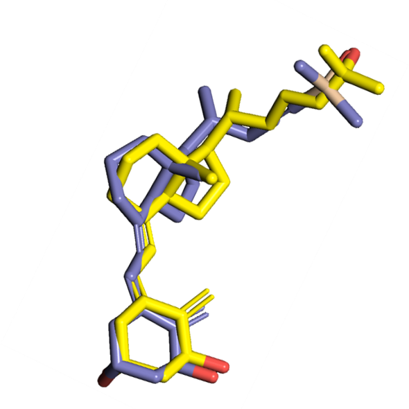 SilaAnalogues of vitamin D with low/neglibible toxic calcemic side
